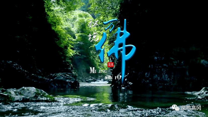 梦想的后院