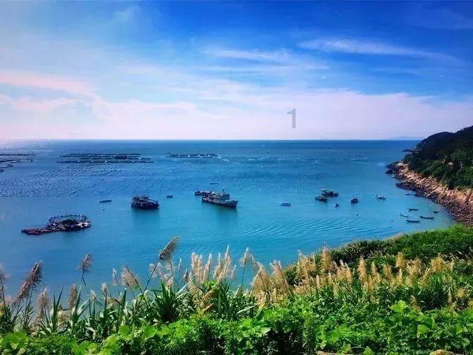路边发现一名弃婴,好心人联合民警送往救助站